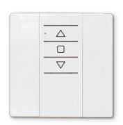 Gaposa Smart Line Wall mounted Remote control 1 channel